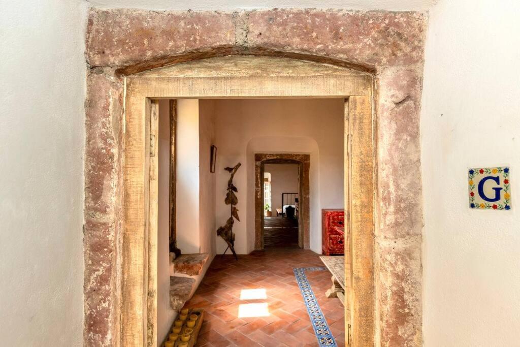 דירות סאן מיגל דה אלנדה Amapola Loft מראה חיצוני תמונה